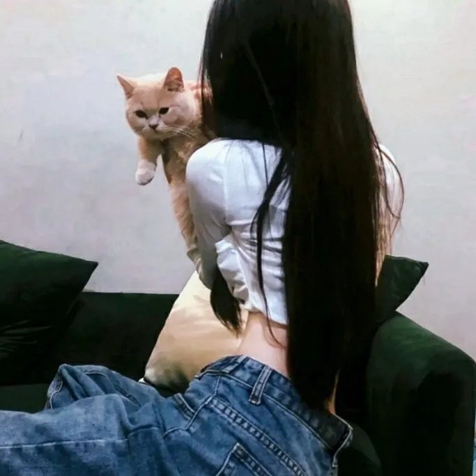 电光滚石