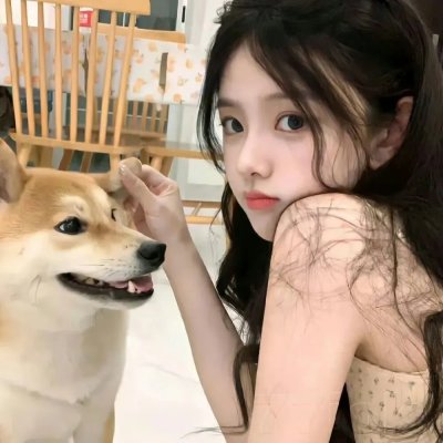 谍报飞龙